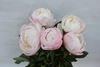 GARDENIA